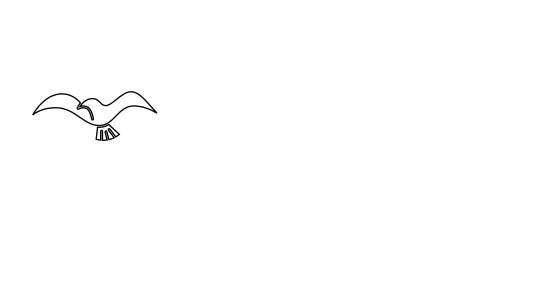 colegio-vallarta-blanco