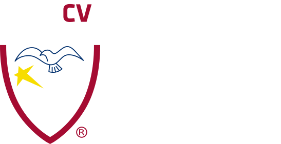 colegio-vallarta-logo-footer