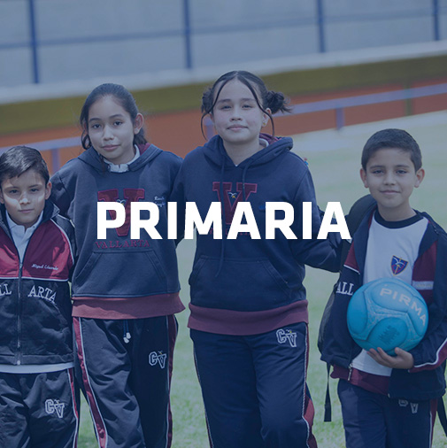 niveles-primaria-1