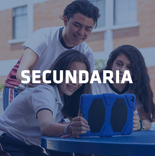 niveles-secundaria-1