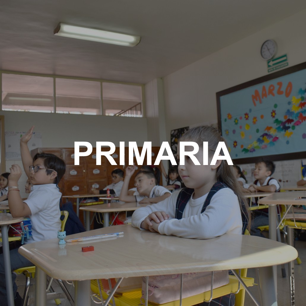 Prim1